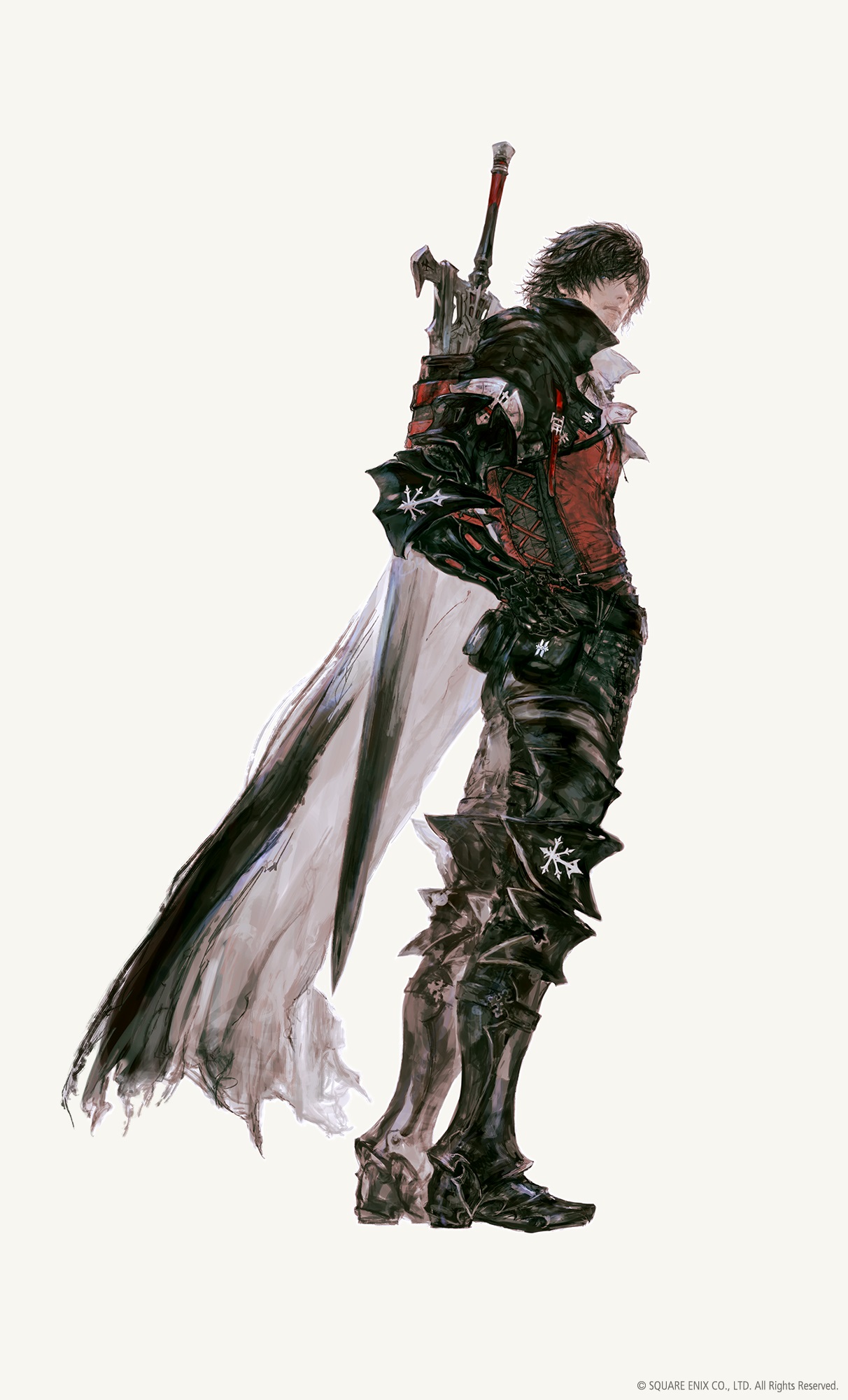 1.jpg (324 KB)
