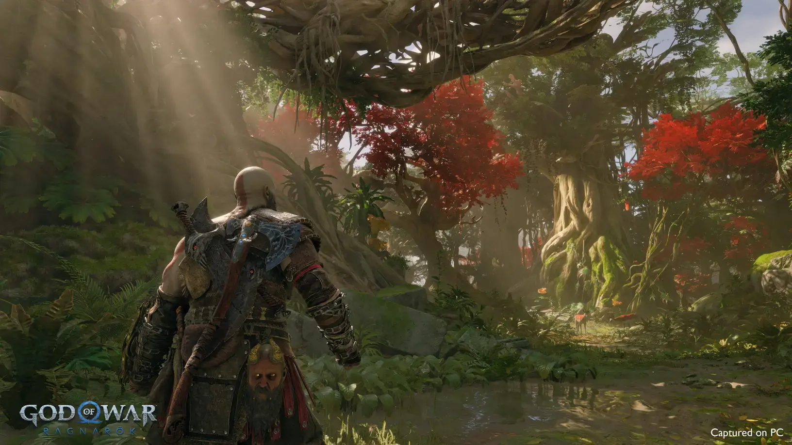 GOW_PC_2.webp (143 KB)