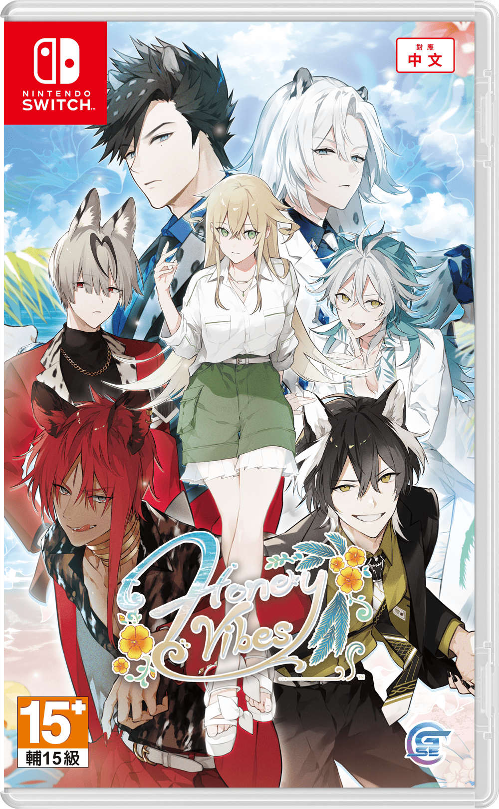 HV_Limited_Top.png (743 KB)