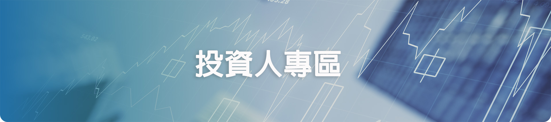 banner_investor-2.jpg (128 KB)