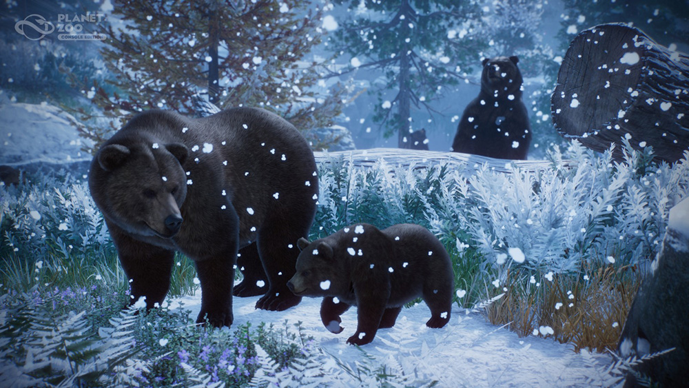 ZOO_003.jpg (314 KB)
