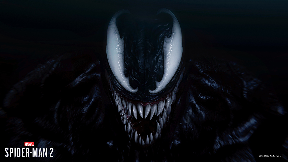 PS5_MSM2_002.jpg (275 KB)